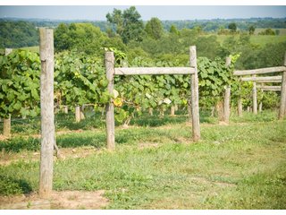 Property photo 27 - REAL ESTATE & RESTAURANT/WINE EQUIPMENT